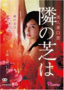 音乐传记电影黑胶时代海报